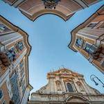 Kali Wisozk Profile Picture