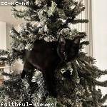 Retta Altenwerth Profile Picture