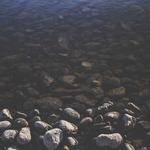 Modesto Blanda Profile Picture