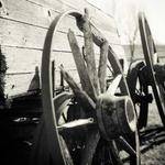 Kathlyn Wilderman Profile Picture