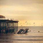 Floy Balistreri Profile Picture