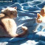 Dereck Mante Profile Picture