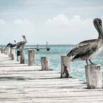 Erik McClure Profile Picture