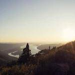 Carrie Donnelly Profile Picture