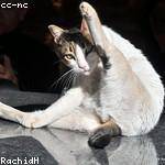 Catalina Emard Profile Picture