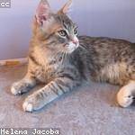 Clementine Gulgowski Profile Picture