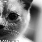 Sarah Hoeger Profile Picture