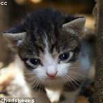 Jannie Wolf Profile Picture