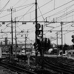 Cary Hahn Profile Picture