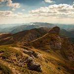 Olga Jacobs Profile Picture