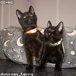 Kayley Moen Profile Picture