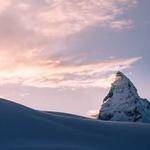 Effie Renner Profile Picture