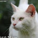 Gudrun Reynolds Profile Picture