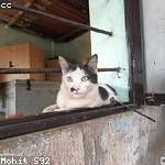 Emie Reilly Profile Picture