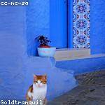 Rosamond Ullrich Profile Picture