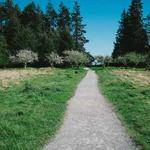 Maybell Jaskolski Profile Picture