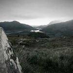 Stone Roob Profile Picture