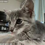 Dennis Zieme Profile Picture