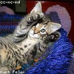 Winifred Gulgowski Profile Picture