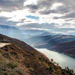 Lukas Kertzmann Profile Picture