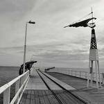 Elyssa Carroll Profile Picture