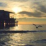 Sharon Kuhic Profile Picture