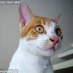 Leo Glover Profile Picture