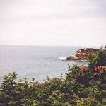 Maggie Brown Profile Picture