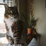 Mable Beier Profile Picture