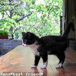 Payton Stiedemann Profile Picture