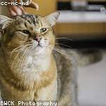 Marques Ferry Profile Picture