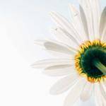 Griffin Greenholt Profile Picture