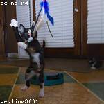 Henry Wyman Profile Picture