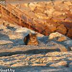 Clementine Moore Profile Picture