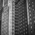 Albertha Watsica Profile Picture