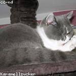 Misty Wisozk Profile Picture