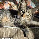 Melyna Pfeffer Profile Picture