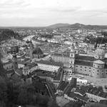 Josephine Predovic Profile Picture