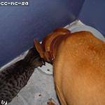 Alize Ankunding Profile Picture