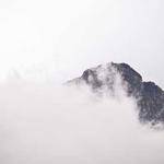 Daphne Zemlak Profile Picture