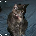 Clementina Smith Profile Picture