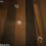 Kristin Ebert Profile Picture