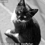 Flavie Gottlieb Profile Picture