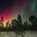 Zachary Feest Profile Picture