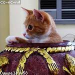 Aniyah Barrows Profile Picture