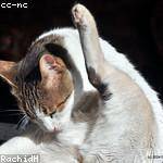 Dedric Wisozk Profile Picture