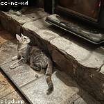 Ayla Morar Profile Picture