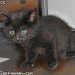 Margarette Walsh Profile Picture