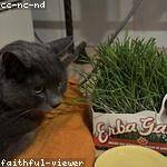 Brennon Littel Profile Picture