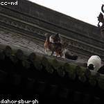 Antonette Rath Profile Picture